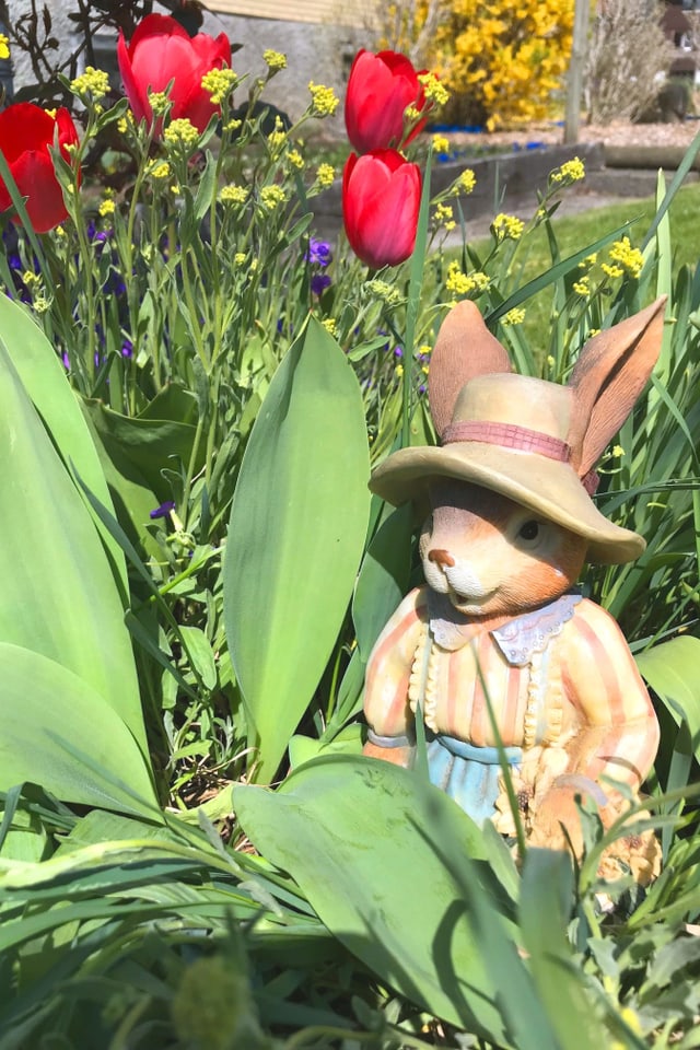 Keramikhase im Gärtner-Outfit inmitten von Tulpen.