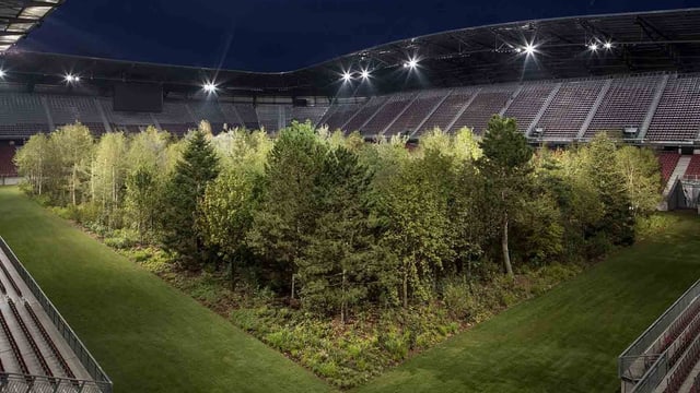 Ein leeres Fussballstadion: auf dem Spielfeld befindet sich ein dichter Mischwald. Ein leeres Fussballstadion: auf dem Spielfeld befindet sich ein dichter Mischwald.