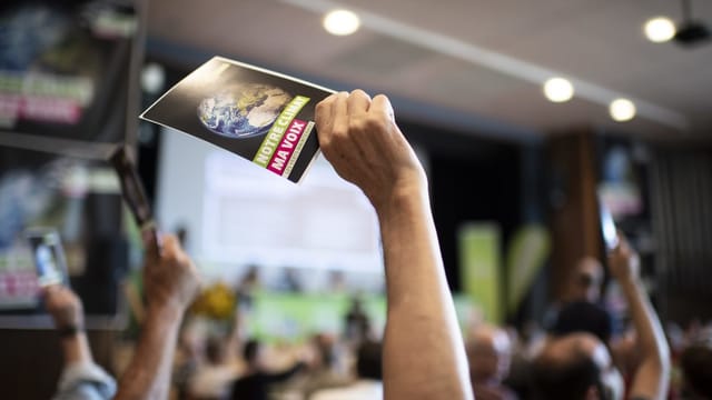 Purtret d'ina persuna che tegna si in cedel da votar. Purtret d'ina persuna che tegna si in cedel da votar.