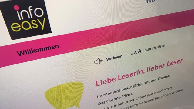 Screenshot der Website von Infoeasy. Screenshot der Website von Infoeasy.