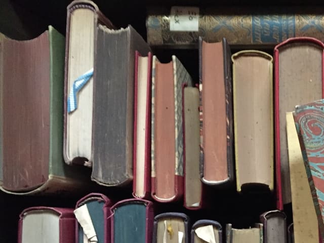 Bücher Bücher