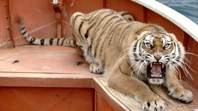 Ein Tiger sitzt fauchend in einem Rettungsboot.