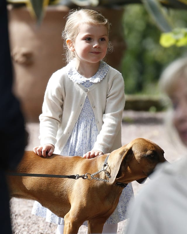 Ein Mädchen im blauen Kleid streichelt einen Hund. Ein Mädchen im blauen Kleid streichelt einen Hund.