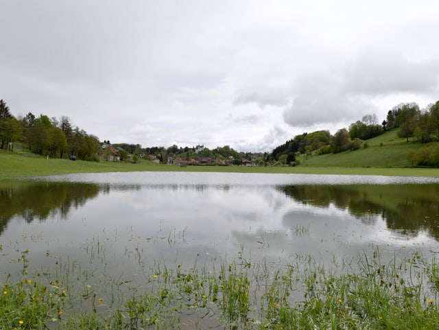 Nach dem kräftigen Regen vom Vortag standen in Seewen (SO) die Felder unter Wasser.