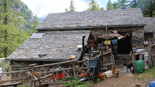 Eine einfach Steinhütte mit Hühnern und einem Hund im Vordergrund. Eine einfach Steinhütte mit Hühnern und einem Hund im Vordergrund.