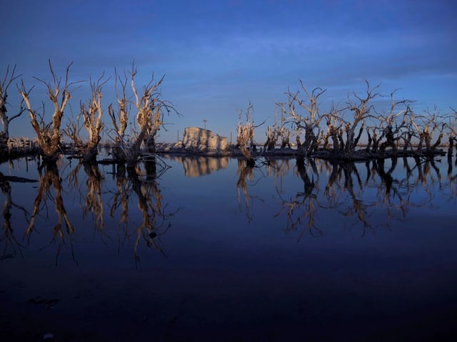 Zwischen blauem See und blauem Himmel ragen tote Äste in die Höhe