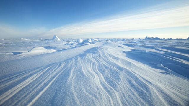 Luftabdrücke im Packeis in der Arktis. (reuters) Luftabdrücke im Packeis in der Arktis. (reuters)