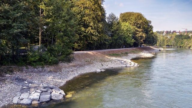 Fluss mit natrülichem Flussufer und Bäumen Fluss mit natrülichem Flussufer und Bäumen