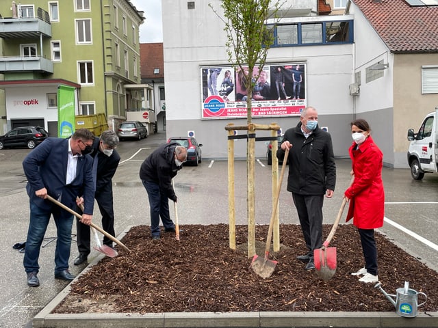 Politiker pflanzen Baum Politiker pflanzen Baum