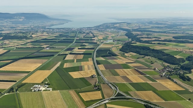 Landwirtschaftsfläche im Jura Landwirtschaftsfläche im Jura