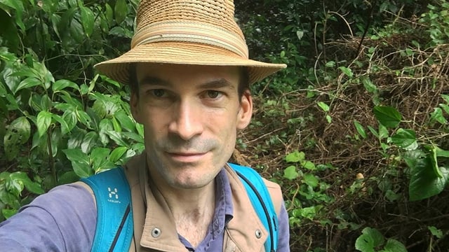 ein Mann im Wald ein Mann im Wald