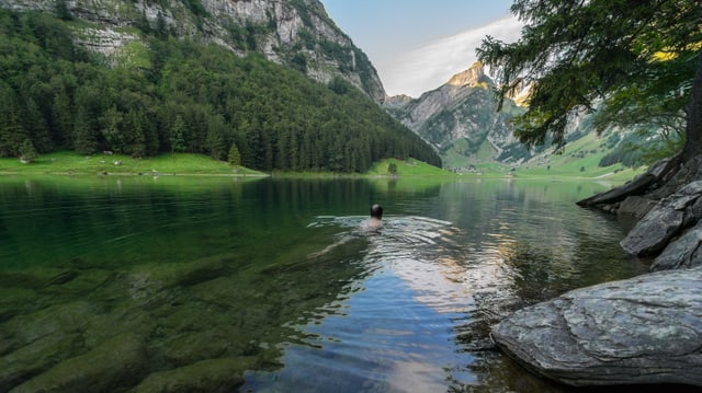 Ein morgendlicher Schwimmer am Seealpsee. Ein morgendlicher Schwimmer am Seealpsee.