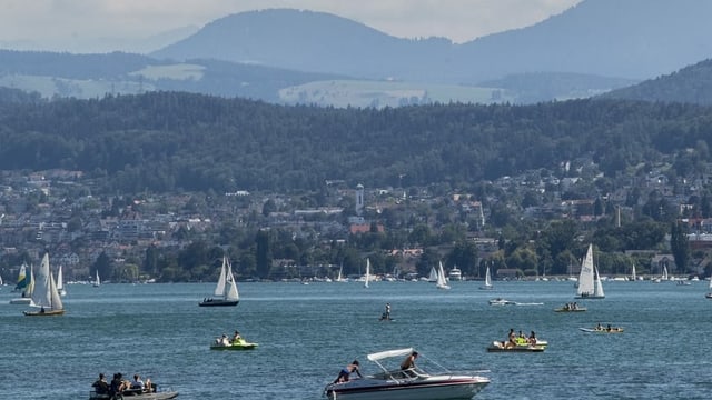 Fisi-Gruess Örgeler: «Zürich wackelt»