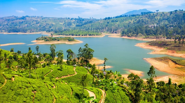 Video «Wildes Sri Lanka - Seenland (1/3)» abspielen Video «Wildes Sri Lanka - Seenland (1/3)» abspielen