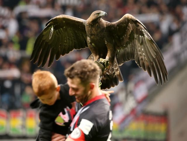 Fussballspieler und Adler