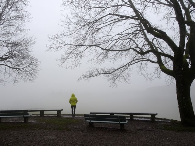 Von einem Aussichtspunkt aus schaut eine Person in das Wolkengrau. Im Vordergrund mehrere Parkbänke. Rechts im Bild ein Baum.