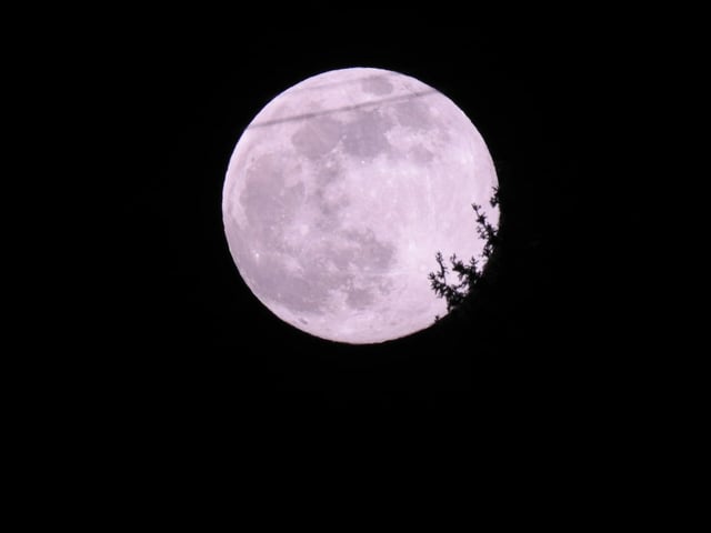 Supermond. Supermond.