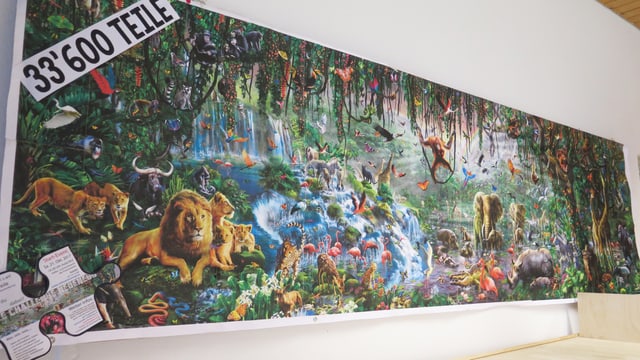 An einer Wand aufgehängte Vorlage des Puzzles: Viele Tiere in einer Urwaldlandschaft. An einer Wand aufgehängte Vorlage des Puzzles: Viele Tiere in einer Urwaldlandschaft.