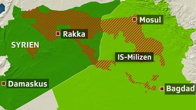 International - Wie funktioniert eigentlich die Terrormiliz