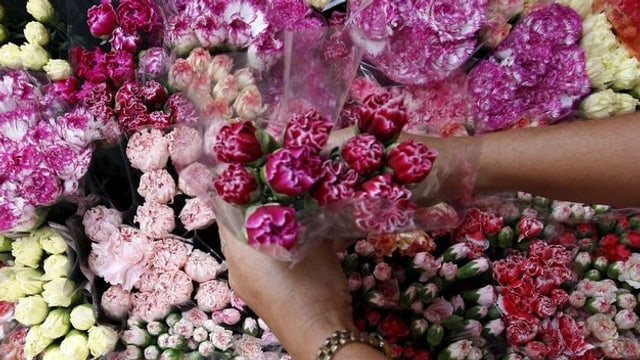 Blumen Blumen