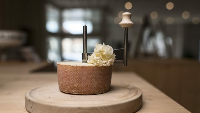 Tête de Moine-Käse Tête de Moine-Käse