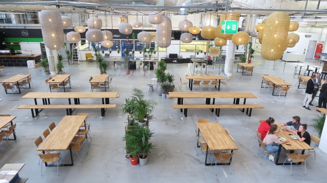 Eine grosse Halle mit Tischen, Bänken und Stühlen. Eine grosse Halle mit Tischen, Bänken und Stühlen.