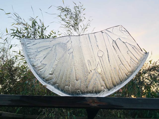 «Wir haben in unserem Garten, einen ganz kleinen Teich aus einem ''Zinnzüber''. Da war die Eisschicht so dicht, dass man sie vorsichtig herausheben konnte. Mein Partner hob sie heraus und stellte die schöne Halbmondscheibe auf das Holzgestell von der Lounge. Ich habe sie anschliessend x-mal fotografiert und habe nun eins zugeschickt!.»