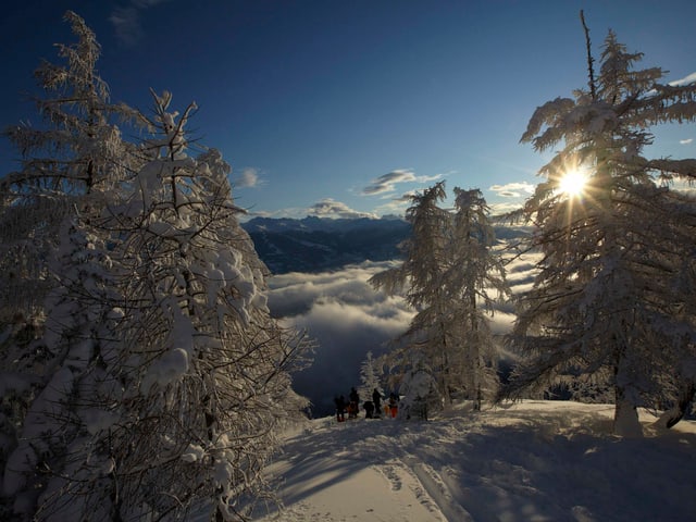 Verschneite Berge und Bäume mit blauem Himmel Verschneite Berge und Bäume mit blauem Himmel