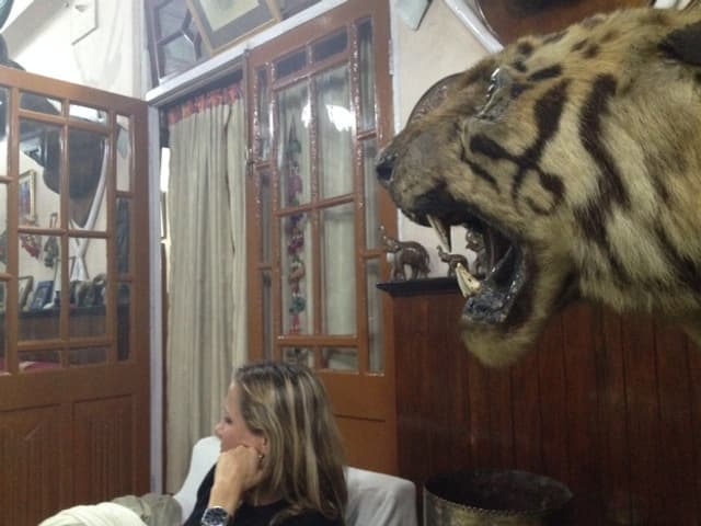 Barbara Lüthi mit Tiger Barbara Lüthi mit Tiger