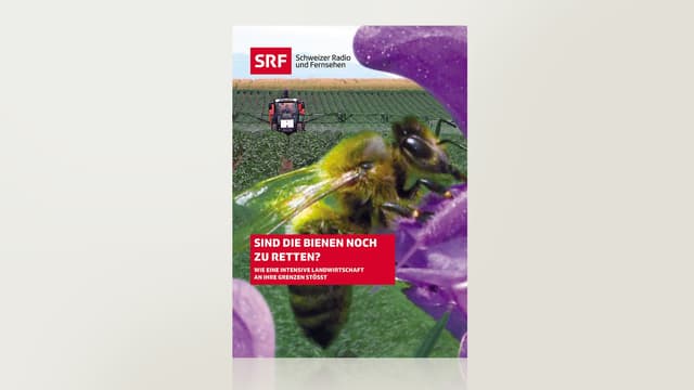 Sind die Bienen noch zu retten? Sind die Bienen noch zu retten?
