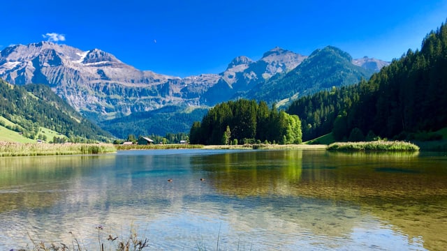 Blick über den Lenksee zu den fast wolkenlosen Bergen des Berner Oberlandes. Blick über den Lenksee zu den fast wolkenlosen Bergen des Berner Oberlandes.