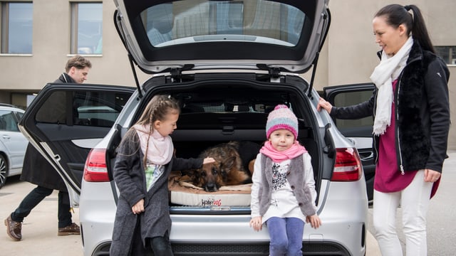 Ein Hund im Heck eines Autos und Kinder sind nebenan. Ein Hund im Heck eines Autos und Kinder sind nebenan.