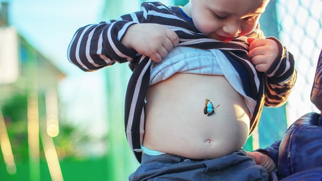 Ein Kleinkind schaut auf seinen aufgedeckten Bauch, wo ein Schmetterling ist. Ein Kleinkind schaut auf seinen aufgedeckten Bauch, wo ein Schmetterling ist.