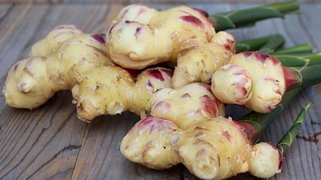 Frische Ingwerknollen Frische Ingwerknollen