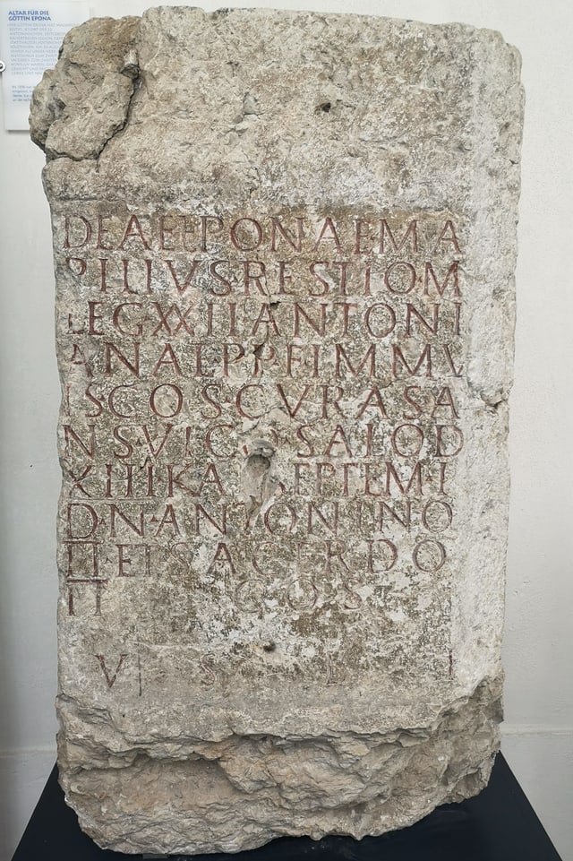 Stein mit lateinischer Inschrift. Stein mit lateinischer Inschrift.