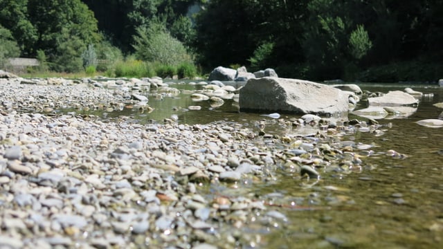 Wasser und Kies Wasser und Kies