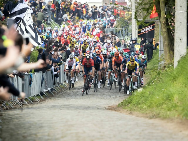 Neben Start- und Zielbereich werden in diesem Jahr auch die Anstiege – hier der Oude Kwaremont – für Zuschauer gesperrt sein. Neben Start- und Zielbereich werden in diesem Jahr auch die Anstiege – hier der Oude Kwaremont – für Zuschauer gesperrt sein.