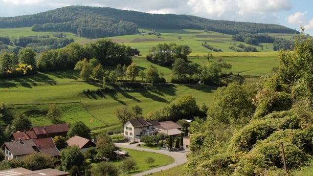 Grünes Tal und ein paar Häuser Grünes Tal und ein paar Häuser