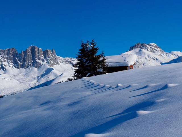 Tief verschneite winterlandschaft Tief verschneite winterlandschaft