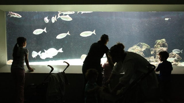 Und in der Schweiz? «Völkerschauen» im Basler Zoo