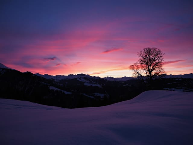 Farbiger Himmel mit wenigen Wolkenfeldern über der dunklen Berglandschaft. Im Vordergrund steht ein Baum in einer Schneefläche.