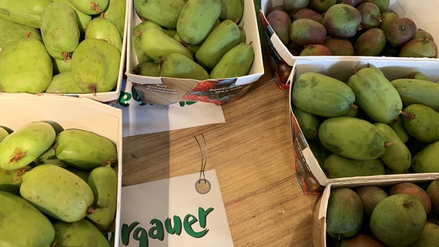 Kiwis in Kartonschalen stehen auf einem Tisch. Kiwis in Kartonschalen stehen auf einem Tisch.