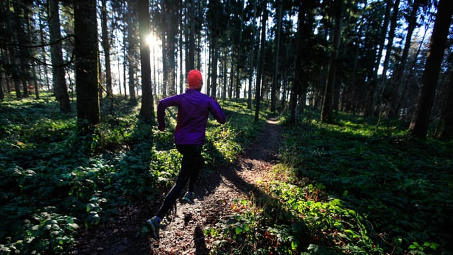 Rückenansicht eines Joggers im Wald. Rückenansicht eines Joggers im Wald.