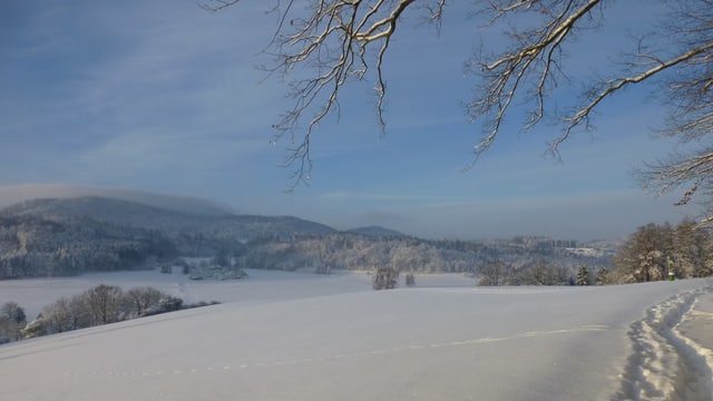 Schneelandschaft in Ettenhausen (TG). Schneelandschaft in Ettenhausen (TG).
