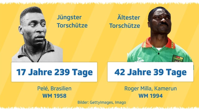 Infografik Infografik