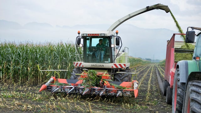 Bauer in grosser Erntemaschine im Maisfeld Bauer in grosser Erntemaschine im Maisfeld