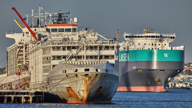Das nun gesunken Schiff Gulf Livestock 1 vor einem Jahr in einem australischen Hafen. Das nun gesunken Schiff Gulf Livestock 1 vor einem Jahr in einem australischen Hafen.