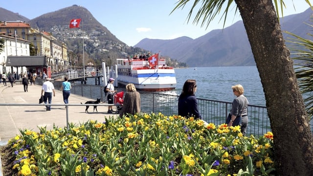 Seepromenade von Lugano Seepromenade von Lugano