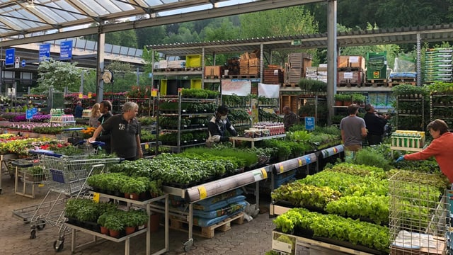 Blick in den Baumarkt Blick in den Baumarkt