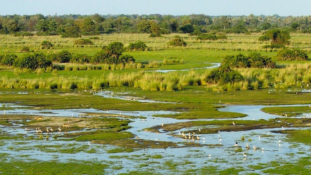 Kleine Paradiese - Das Okavango-Delta Kleine Paradiese - Das Okavango-Delta